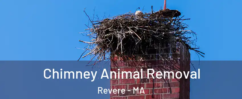 Chimney Animal Removal Revere - MA