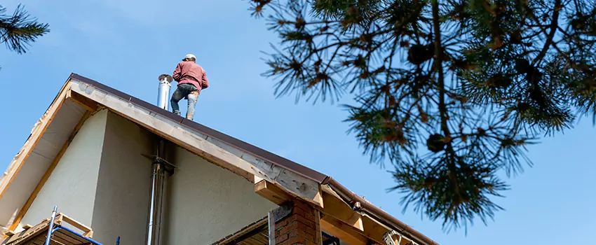 Birds Removal Contractors from Chimney in Revere, MA